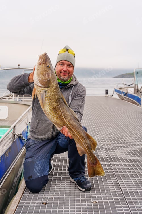 Preview: Fisherman with big cod fish. Norwegian fisherman has caught large Cod in Norwegian Fjord islands