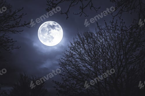 Preview: Moonlight, moon on a dark night behind trees