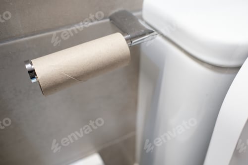 Preview: Empty toilet paper roll