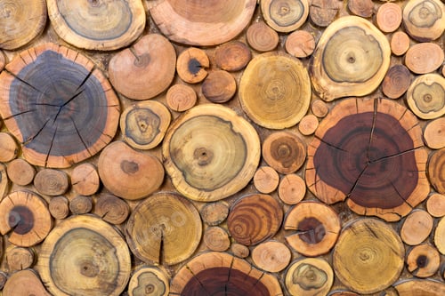 Preview: Round wooden unpainted solid natural ecological soft colored brown and yellow stumps