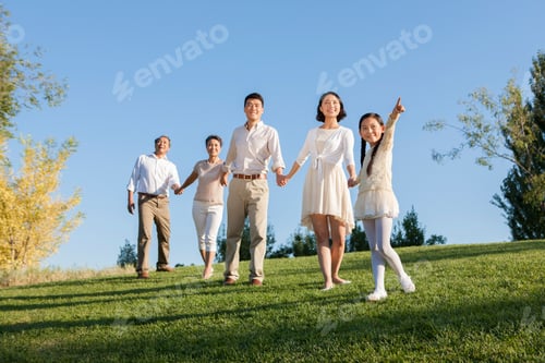 Visualização: Família feliz de mãos dadas olhando a vista em um parque