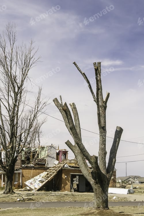 Preview: Washington, Illinois, Usa - March 31, 2014: A Dying Tree Stands Near A House With Walls And Roof