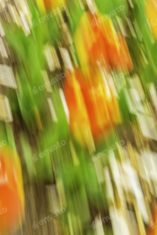 Preview: Abstract Created With Camera In Motion Over Daffodils And Other Garden Flowers In Spring