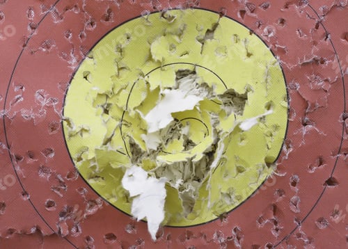 Preview: Torn Bulls-Eye Of Archery Target