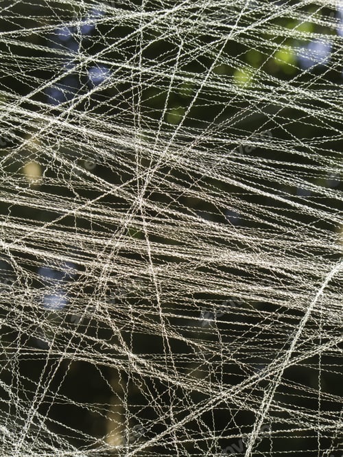 Preview: Criss-Crossing Strands Of Artificial Web, Part Of Halloween Installation