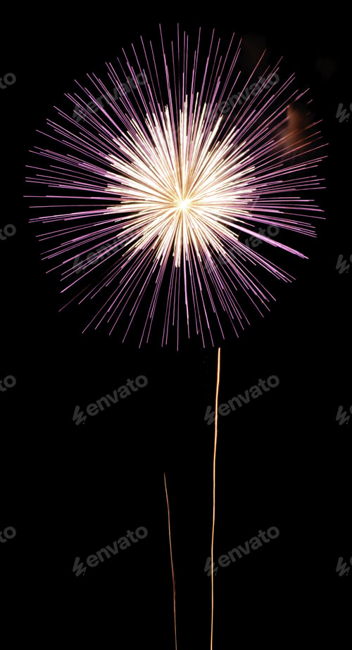 Preview: Flowerlike Fireworks Bloom, White In The Center, Reddish-Purple On The Outside, With Two Thin