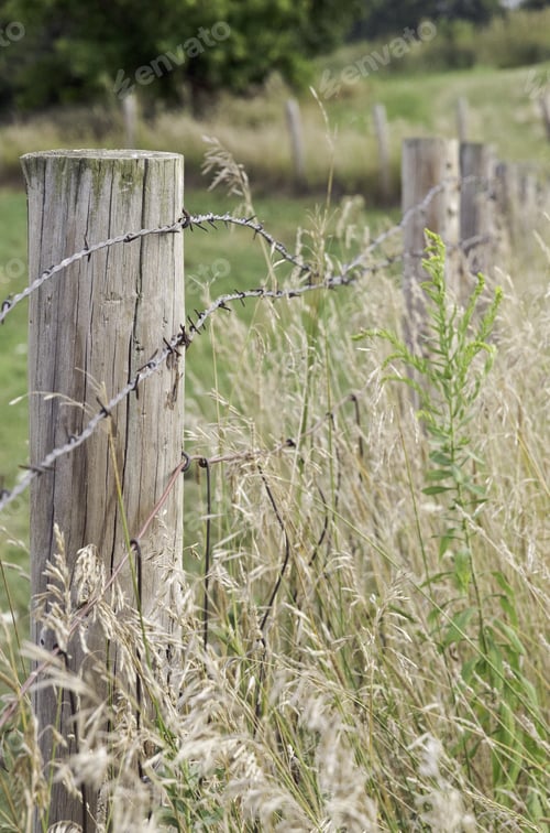 Preview: Rural Farm Fence With Cylindrical Wooden Posts And Barbed Wire In Tall Grass, Summer In Northern