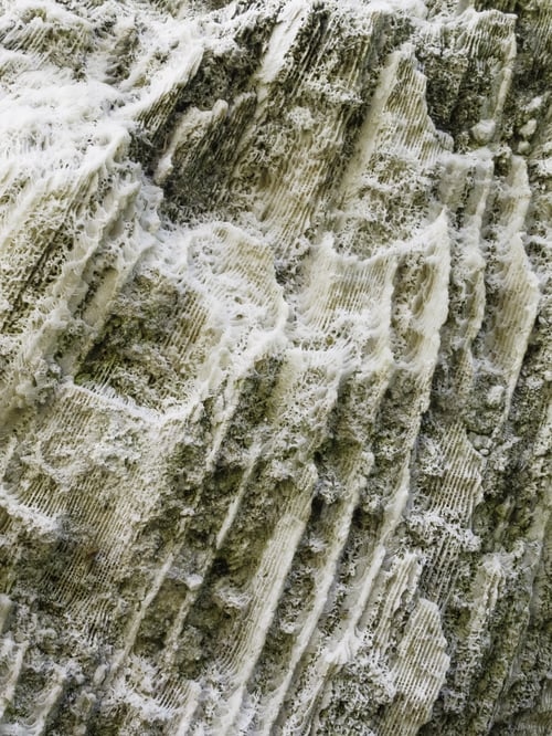 Preview: Cross-Section Of Coral Fossils On A Large Rock In The Florida Keys