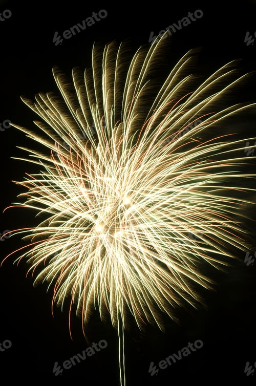 Preview: Dandelion Of Light: Several Bursts Of Fireworks Together
