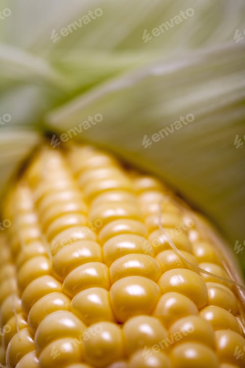 Preview: Fresh Ripe Corn On The Cob