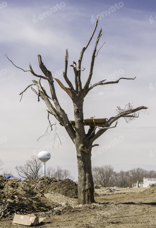 Preview: Washington, Illinois, Usa - March 31, 2014: Debris From A House, Perhaps, Remains Lodged In A Tree