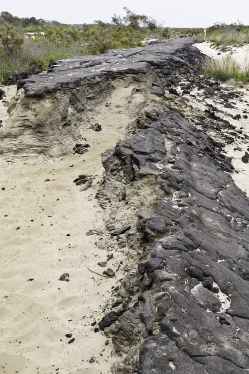 Preview: Ruins Of Baltimore Boulevard, An Island Road Of Asphalt 15 Miles Long, Built For Housing
