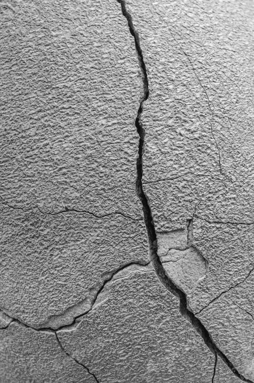 Preview: Garden Abstract In Black And White: Closeup Of Long Crack, With Tributaries, In The Side Of A Large