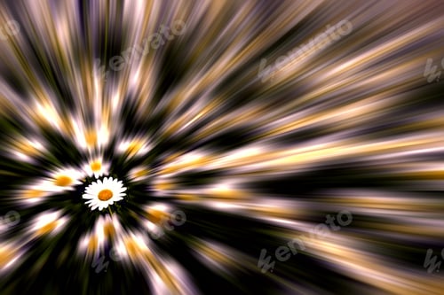 Preview: Contrasty Radial Blur Of Daisies For Floral Or Summer Motifs, With Copy Space At Top And On The
