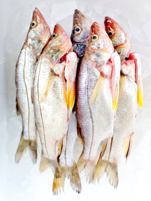 Preview: Group Of Raw Frozen Fish On Ice