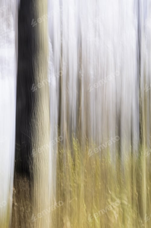 Preview: Abstract Of Forest Trees In Autumn, Northern Illinois: Painterly In-Camera Motion Blur Of Tree