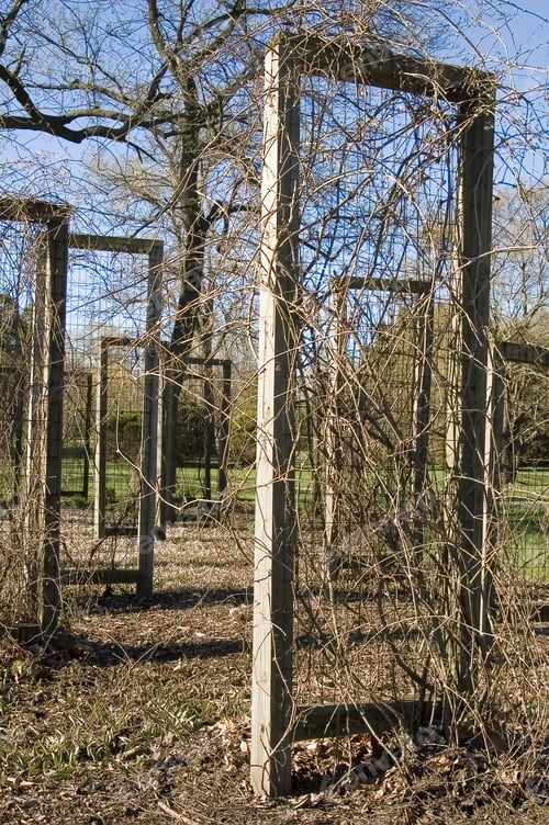 Preview: Trellises With Vines In Spring