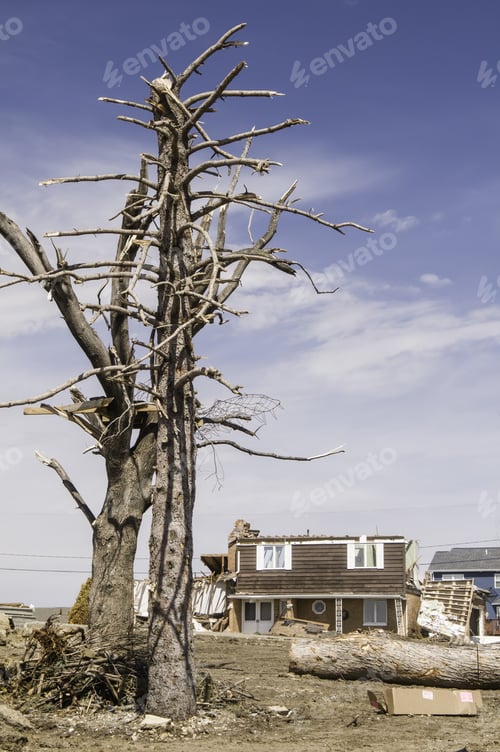 Preview: Washington, Illinois, Usa - March 31, 2014: Blasted Trunks Of Two Trees Stand Near A Severely