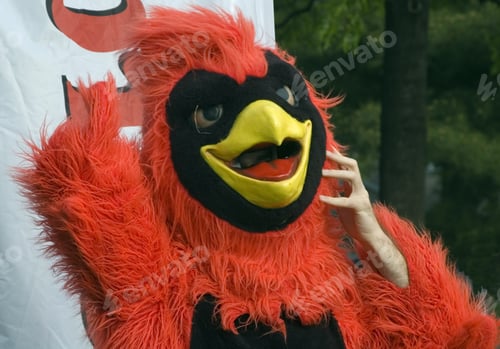 Preview: Hand Of Birdman Adjusts Head Of His Gaudy Costume