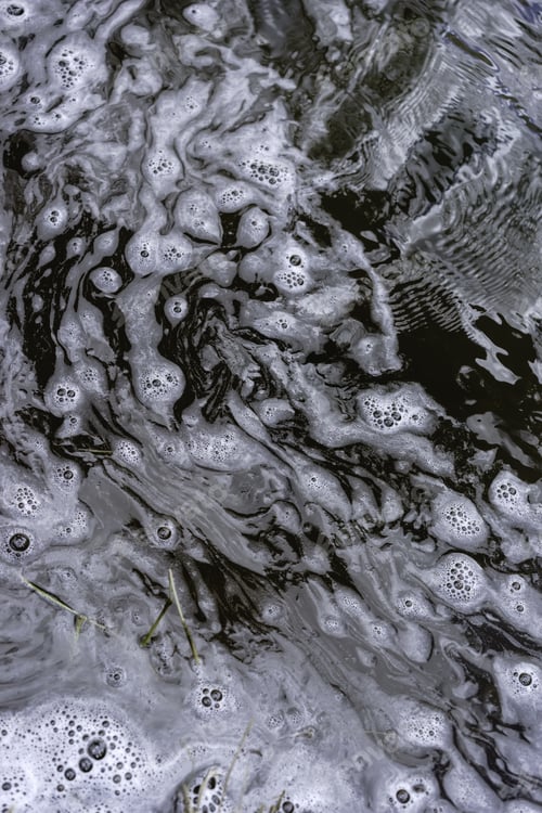 Preview: Aquatic Abstract In Desert Country: Bubbly Pocket Of Water Flowing Along Grassy Edge Of Oak Creek