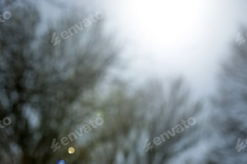Preview: Deliberate Blurred Forest In Bright Sunshine In A Park