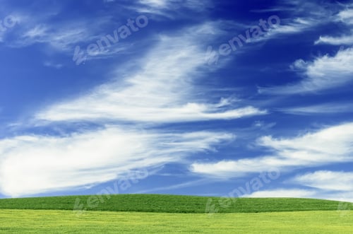 Preview: Blue Sky With Cirrus Clouds Over Light Green Wheat Fields In The Pacific Northwest