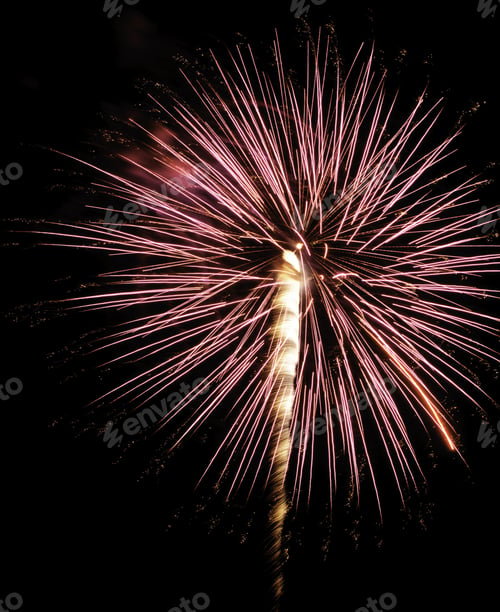 Preview: Pinkish Burst Of Fireworks With Glitter And Feathery White Rocket Trail