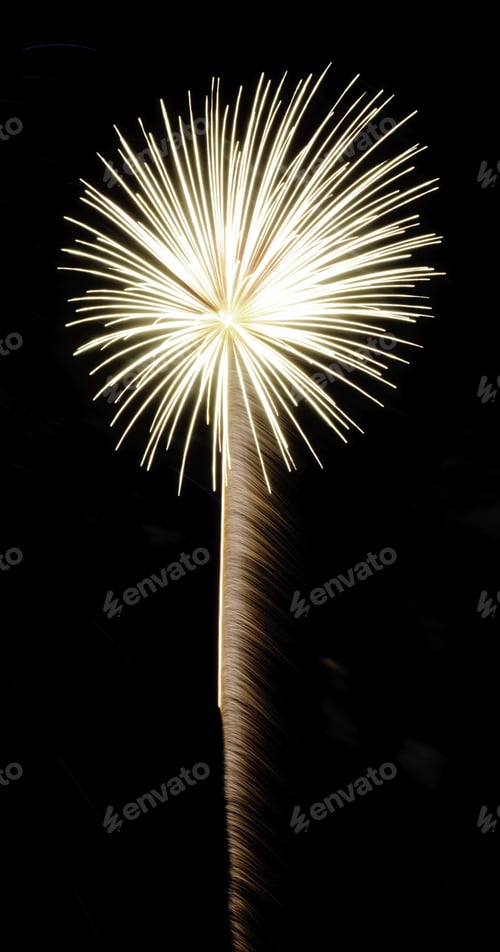 Preview: White-Hot Fireworks Burst With Feathery Rocket Trail