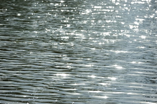 Preview: Sunlight Reflecting Off Of Ripples In A Lake