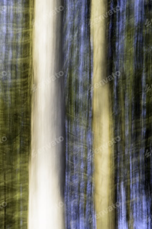 Preview: Abstract Of Forest Trees In Autumn, Northern Illinois: Painterly In-Camera Motion Blur Of Tree