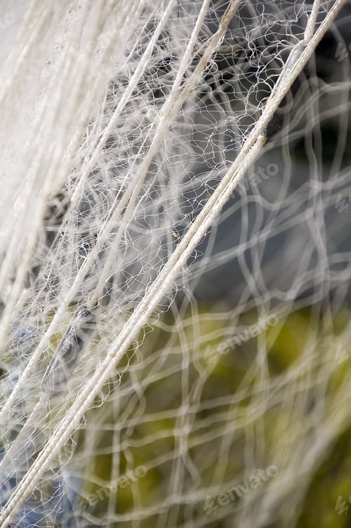 Preview: Detail Of Fishing Net Hung To Dry