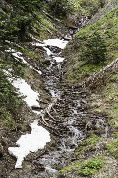 Preview: Rivulet Of Meltwater On Mountain Slope With Patches Of Snow In Springtime, Olympic National Park
