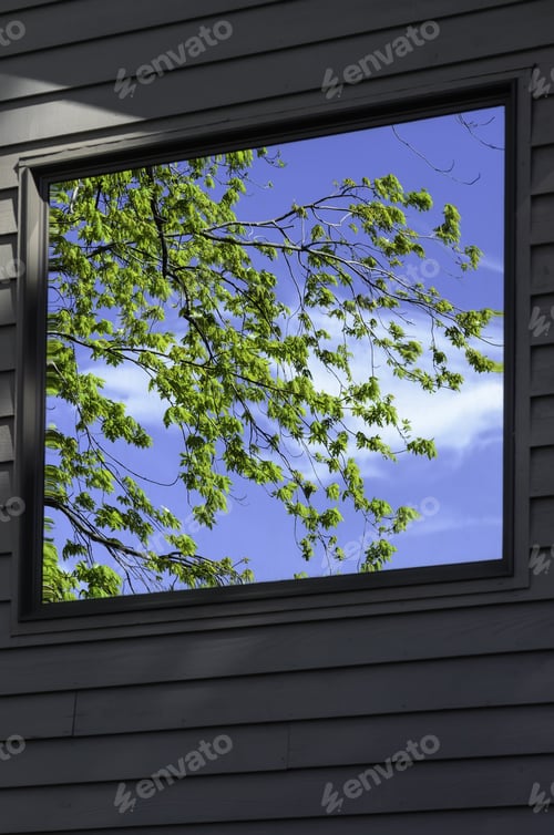 Preview: Bright Reflection In Exterior Window Of House In Spring, Southwestern Michigan