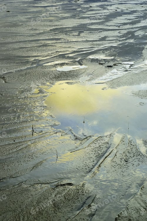 Preview: Marine Abstract: Reflection Of Orange Cloud In Pool On Sandy Beach On Cape Cod, Massachusetts