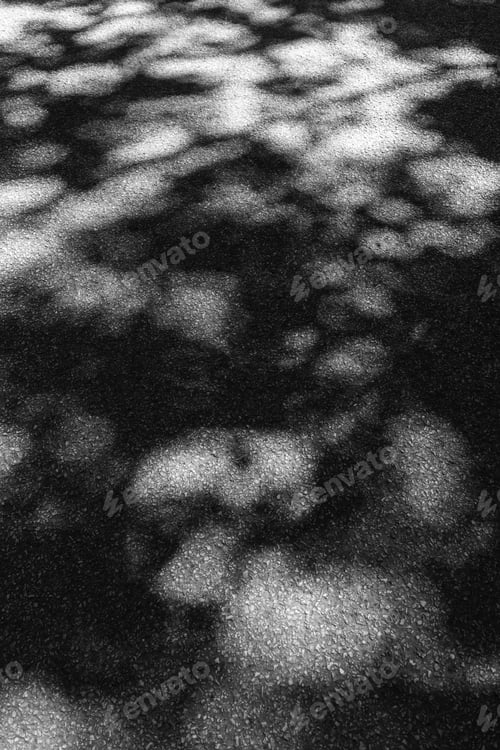 Preview: Splotches Of Summer Sunlight: Part Of Dappled Asphalt Road Through Woods In Northern Illinois, Usa