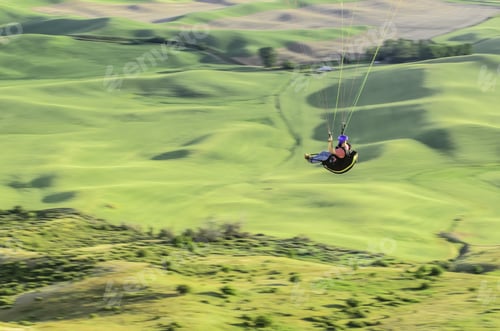 Preview: Paraglider Flying Over Slope In Western Washington, Usa (Motion Blur Of Background)