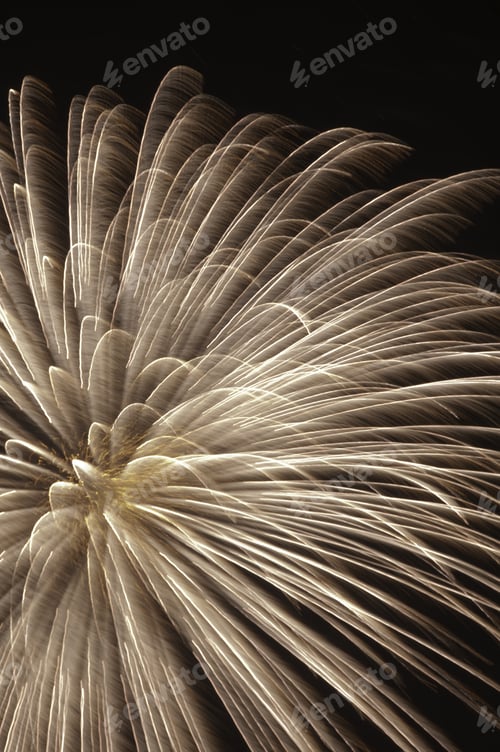 Preview: Fireworks "Flower" With Feathery Motion Blur
