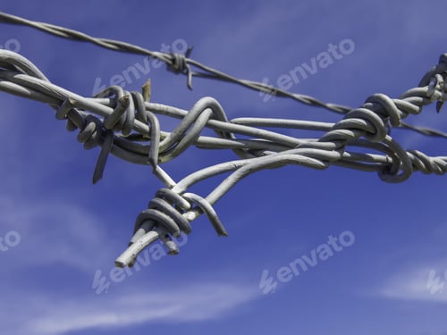 Preview: Security In The Open: Twists Of Barbed Wire Under High Tension On A Sunny Day