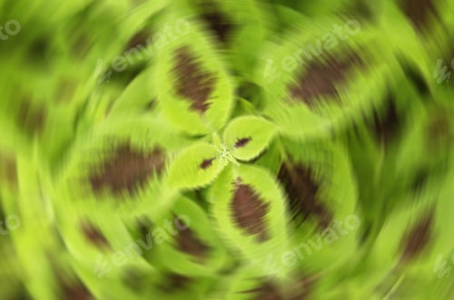 Preview: Radial Blur Of Yellow-Green Coleus Cultivar (Botanical Name: Solenostemon Scutellarioides), With