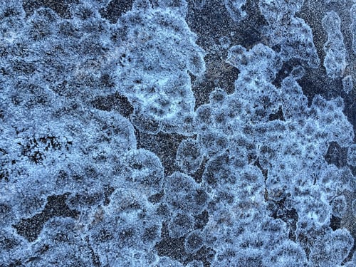 Preview: Winter Abstract: Stains Of Road Salt, Like Fungal Growths, On Asphalt Pavement Of Parking Lot In