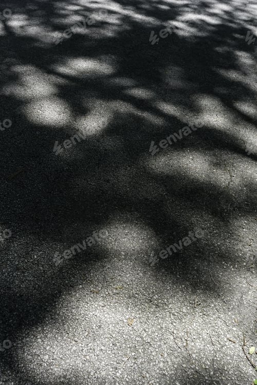 Preview: Shifting Signatures Of Summer: Dappled One-Way Asphalt Road Through Woods In Northern Illinois, Usa