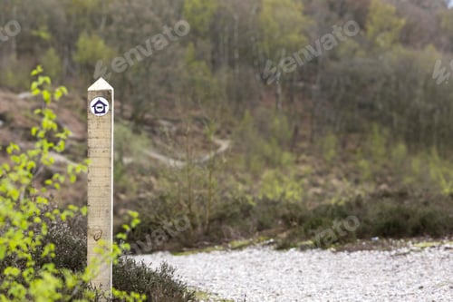 Preview: Wooden Hiking Trail Marker In A Forest