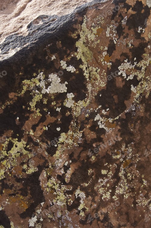 Preview: Lichens Growing On Shady Side Of Boulder In Desert. Detail Of Calico Hills In The Red Rock Canyon