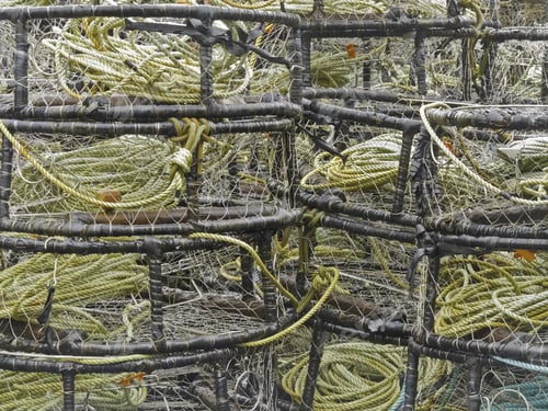 Preview: Two Stacks Of Ring Crab Traps For Commercial Use, With Drop Lines, On A Rainy Day In Oregon