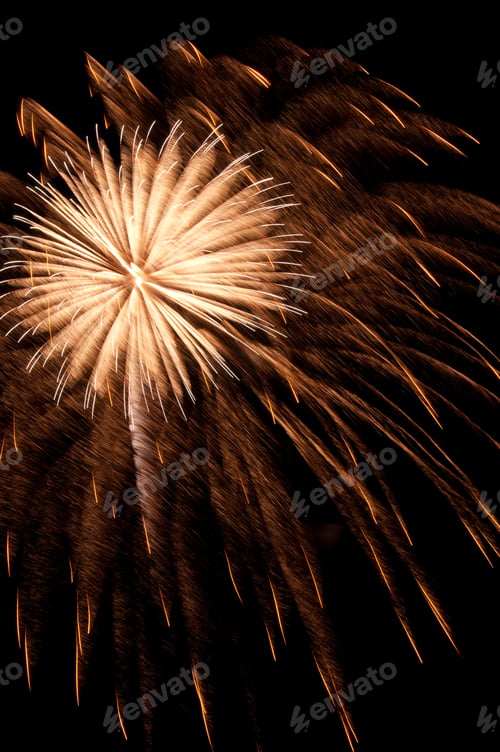 Preview: Fireworks Burst Like A Dandelion Amid Falling Embers