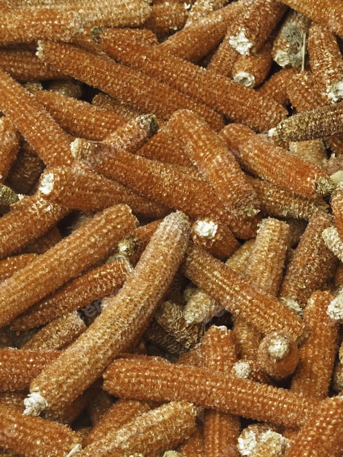 Preview: Reddish Orange Corncobs In Storage For Fodder, Livestock Bedding, Fuel, Or All Of These On A Farm
