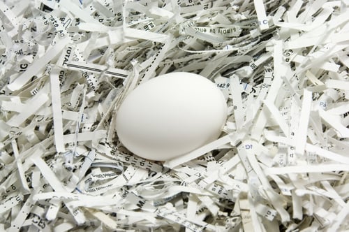 Preview: Egg In A Nest Of Shredded Paper