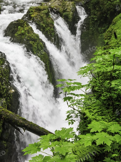 Preview: Sol Duc Falls: A Signature Falls In Olympic National Park, Washington, Usa, Seen From A Bridge