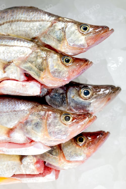 Preview: Heads Of Raw Frozen Fish Wih Eyes Wide Open