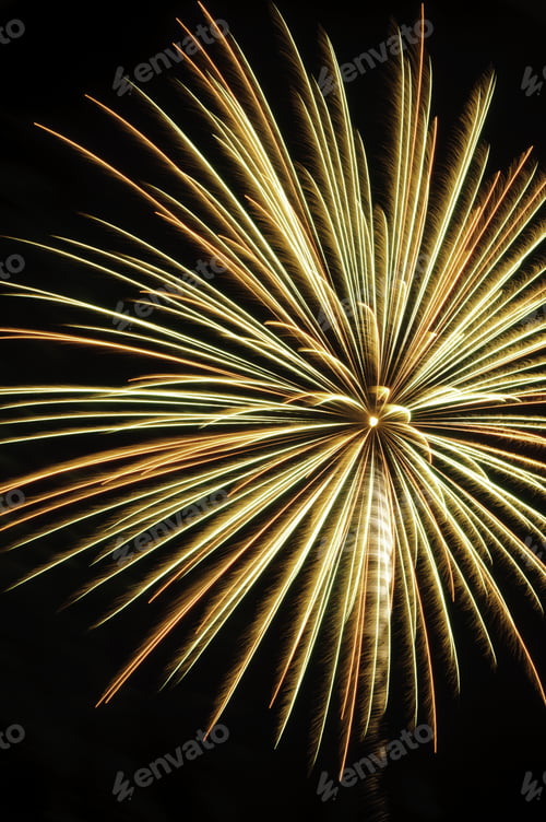 Preview: Burst Of Fireworks With Many Yellow-White Streaks